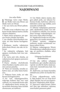 Bhaibheri Dzvene (Bibel auf Shona)